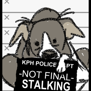 Stalking BORDER COLLIE Backer vote pin