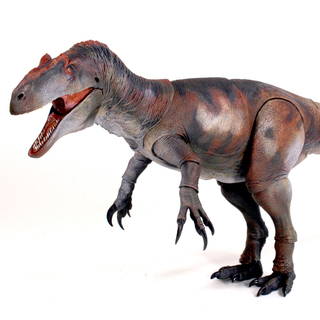 Allosaurus jimmadseni- 1/18th scale