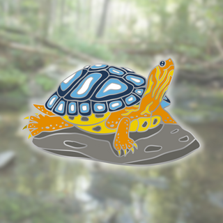 Aroace Turtle 2" Pin