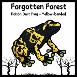 Yellow-banded Poison Dart Frog