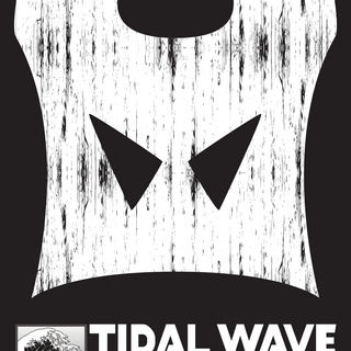Tidal Wave Games 2025 Annual