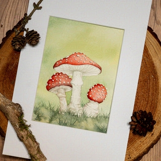 Painting Fly Agaric
