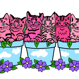 6 Kittens in Flower Pots