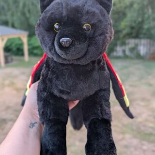 Red-winged Blackbird Fox