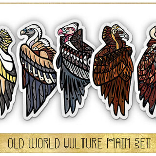 Vulture Sticker Pack - Old World Vultures