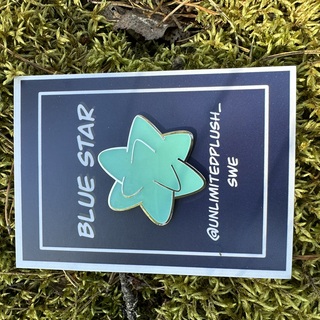 Blue star pin
