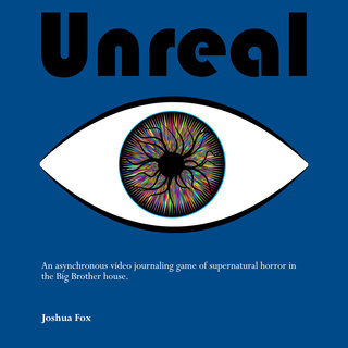 Unreal (Print Zine + PDF)