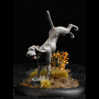 Buck the giant hound