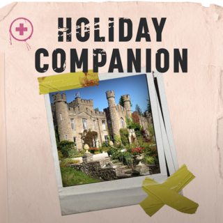 Holiday Escape Companion ticket