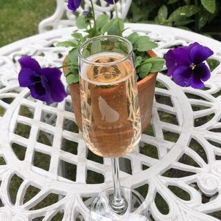 Rabbit River Champagne Flutes