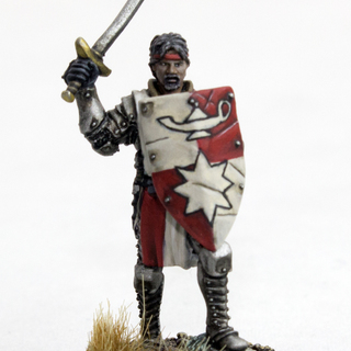 High Questor of Tahnar (Leader)