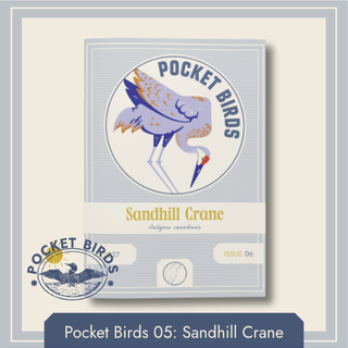 PB05 - Sandhill Crane