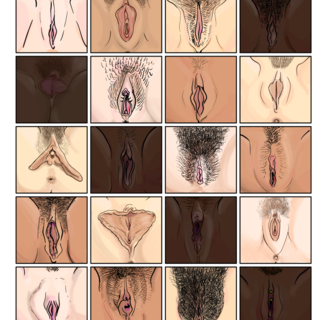 Vulva Diversity Mini Print