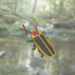 Rainbow Firefly Mini Pin