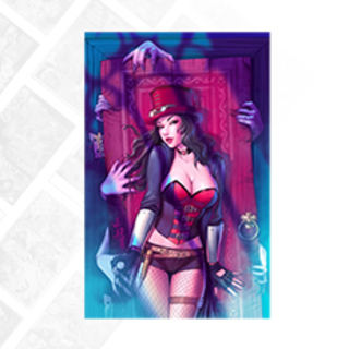 VH:VH LE250 Collectible Comic (Matas)