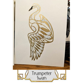 Original Painting - Trumpeter Swan
