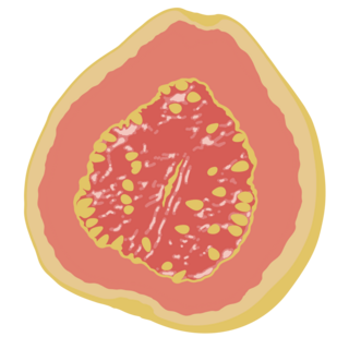 Guava Pin