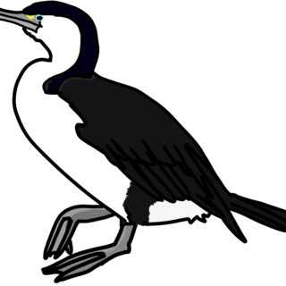 Little Pied Cormorant Enamel Pin