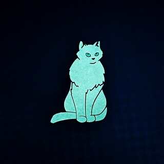 Glow in the Dark Cat Pin