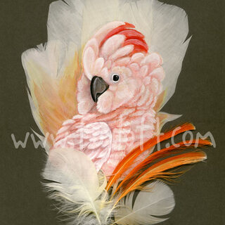 Art Print - Pretty In Pink