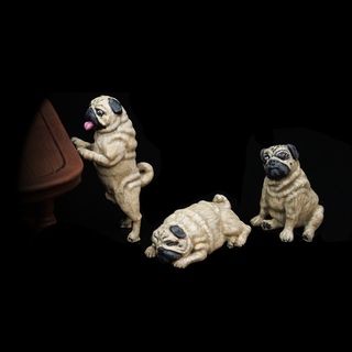 The Pugs