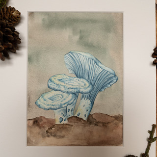 Painting LactariusIndigo