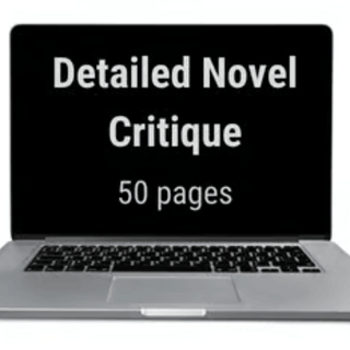 Critique/Zoom of your novel segment