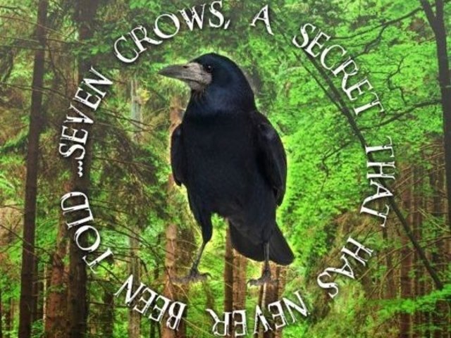 The Seventh Crow
