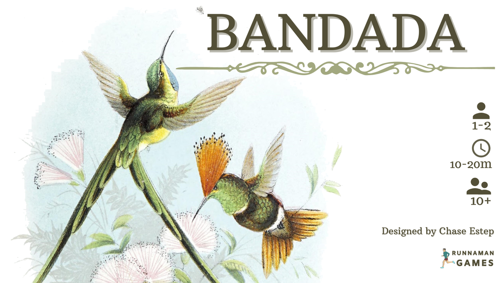 Bandada: A Quick Playing Game for 1-2 Players