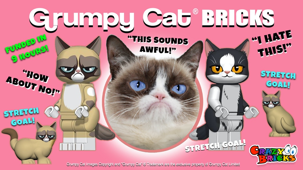 Grumpy Cat® Bricks