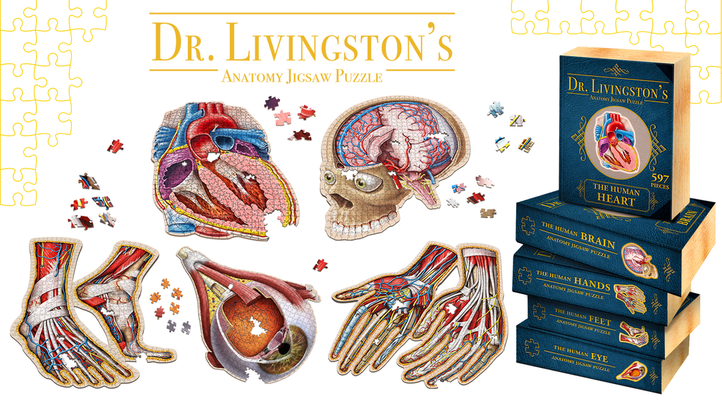 Anatomy Jigsaw Puzzles: The Heart, Brain, Eye, Hands & Feet