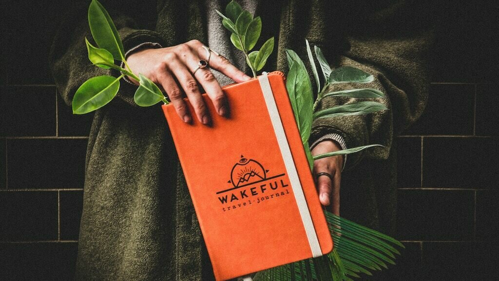 Wakeful Travel: Psychedelic Integration Journals