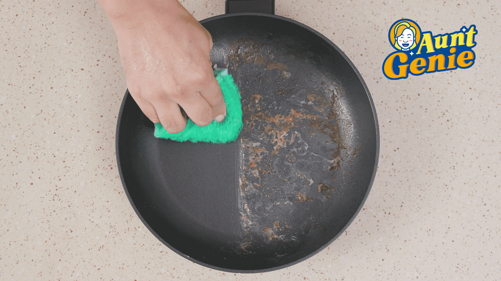 Clean with No Dish Soap and No Chemicals with Aunt Genie