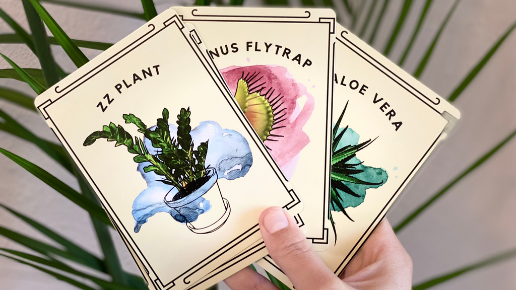 Houseplant Oracle Deck