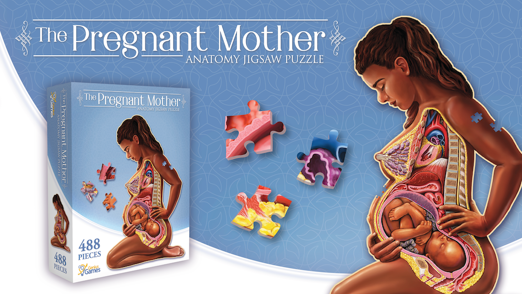 The Pregnant Mother – Anatomy Jigsaw Puzzle