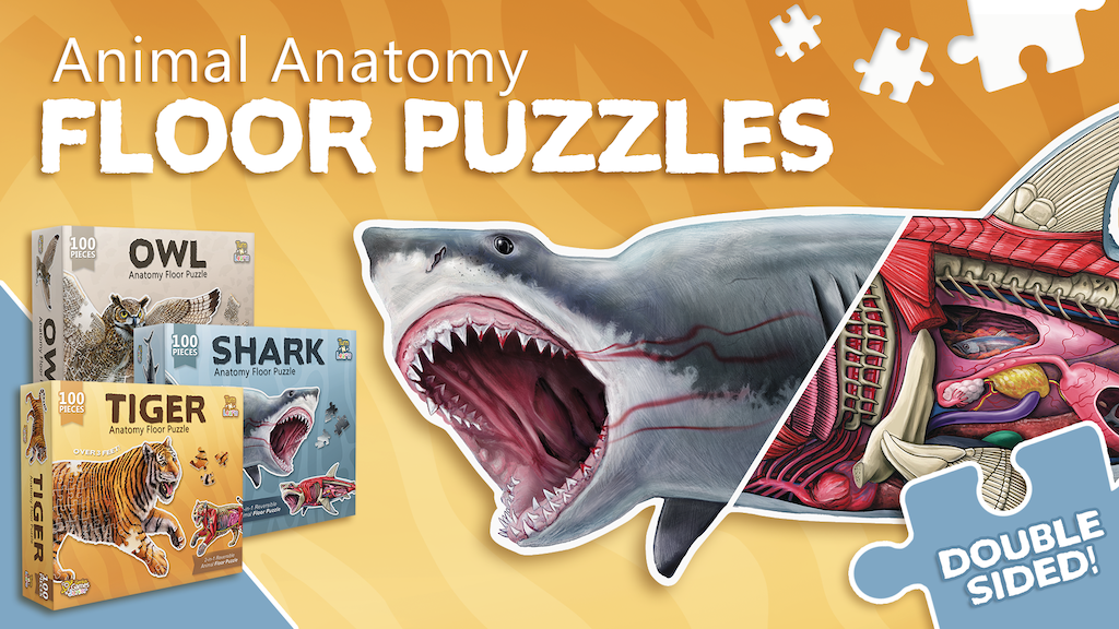 Turn N Learn Animal Anatomy Puzzles: Tiger, Owl, Shark