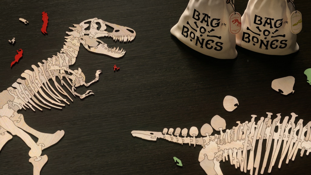 Bag-O-Bones : Puzzles Unearthed (Dinosaurs)