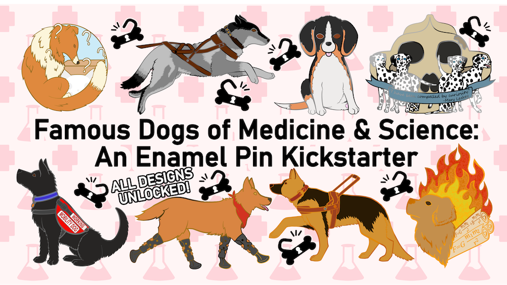 Famous Dogs of Medicine & Science Enamel Pins