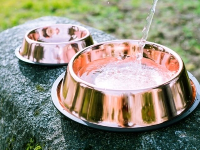 CuBowl - The Antibacterial Pet Bowl That Won't Get Slimy!