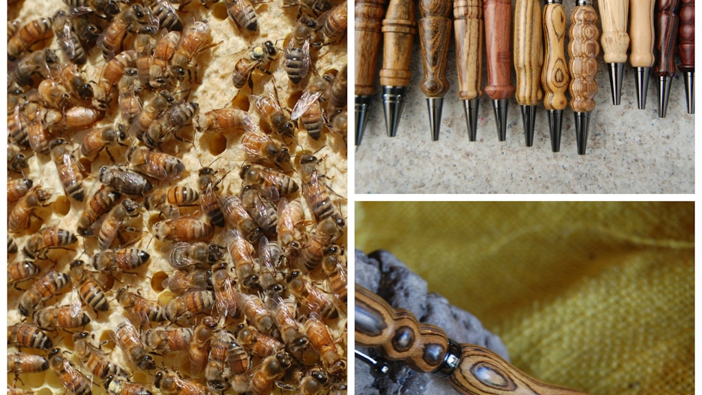 Honey Bee Rescue with Wooden Pens!