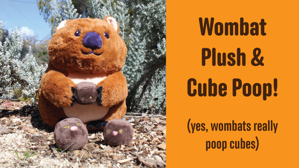 Wacky Wombat and Cube Poo Plush!