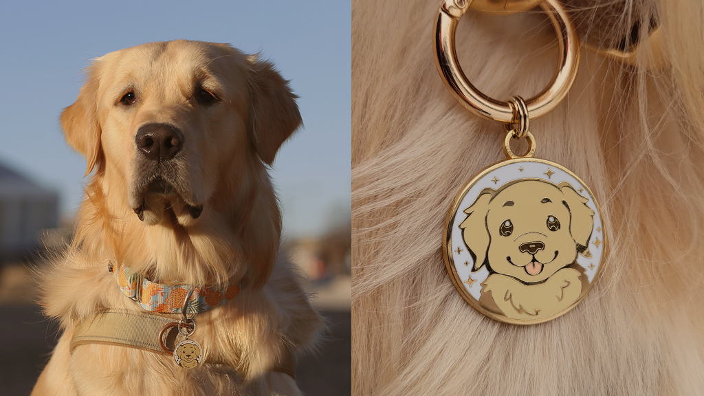 Pet Tag That Resembles Your Dog