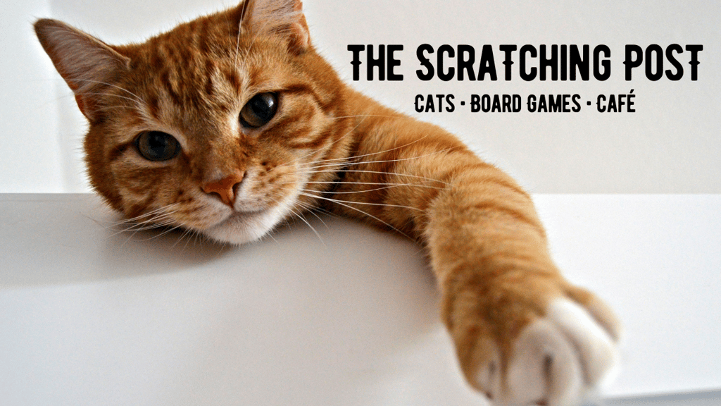 The Scratching Post - Champaign's Cat & Board Game Café