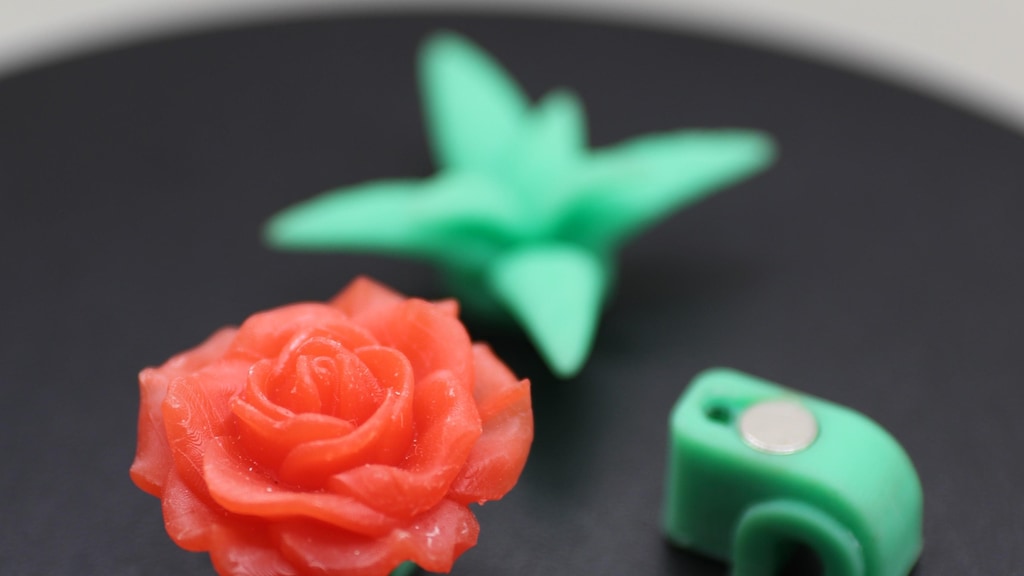 FloraClips: Bring the garden to your home