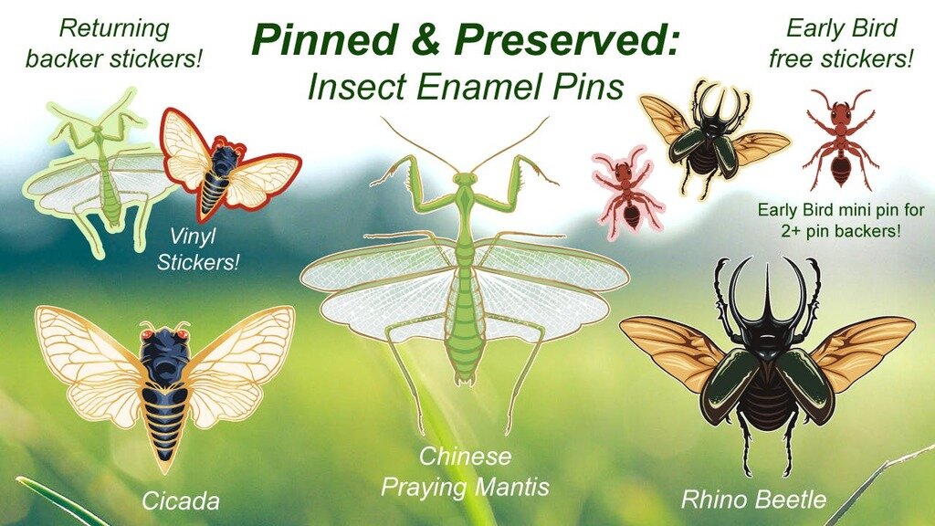 Pinned & Preserved: Insect Enamel Pins
