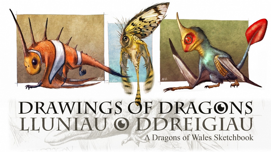 Drawings of Dragons Sketchbook