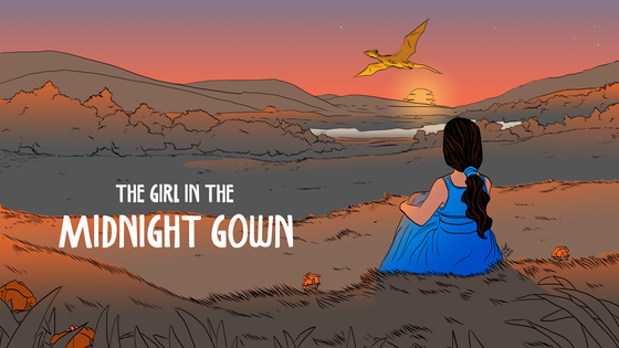 The Girl in the Midnight Gown - All Age, Diverse Fairy-Tales